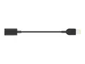 Lenovo USB-C to Slim-tip Cable Adapter Str&#248;mkoblingsadapter - 24 pin USB-C hunn til str&#248;m hann