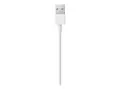 Apple - Lightning-kabel - Lightning hann til USB hann 1 m