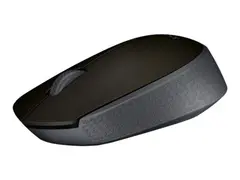 Logitech M170 - Mus - tr&#229;dl&#248;s - 2.4 GHz - USB tr&#229;dl&#248;s mottaker