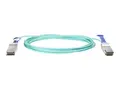 HPE Active Optical Cable - Direkte 100GBase-koblingskabel QSFP28 til QSFP28 - 5 m - fiberoptisk - aktiv - for HPE SN2410, SN3700, SN3700cM 100, SN3800M 100, SN4600, SN4600cM 100; M-Series SN3800