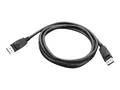 Lenovo - DisplayPort-kabel - DisplayPort (hann) til DisplayPort (hann) 1.8 m - for ThinkCentre M75t Gen 2; M80s Gen 3; M90a Gen 3; M90q Gen 2; M90t Gen 3; ThinkCentre neo 70