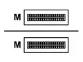 HPE X241 - Direkte 100GBase-koblingskabel QSFP28 (hann) til QSFP28 (hann) - 3 m - for HPE Aruba 8325-32C, 8325-48Y8C; CX 10000 Empty Chassis, 8360-12C V2, 8360-16Y2C V2