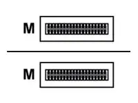 Lenovo - 100GBase-CU direkte tilkoblingskabel QSFP28 til QSFP28 - 1 m - passiv - for ThinkSystem NE10032 RackSwitch, NE2572 RackSwitch, NE2580O RackSwitch