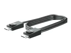 HP - DisplayPort-kabel - DisplayPort (hann) til DisplayPort (hann) 3 m - for RP9 G1 Retail System 9015, 9018, 9118