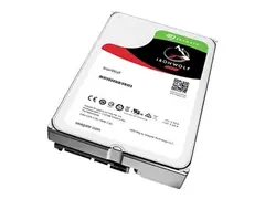 Seagate IronWolf ST6000VNA01 - Harddisk 6 TB - intern - 3.5&quot; - SATA 6Gb/s