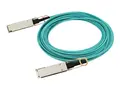 HPE Aruba - 100GBase-AOC direkte tilkoblingskabel QSFP28 (hann) til QSFP28 (hann) - 30 m - fiberoptisk - aktiv - for HPE Aruba 8325-32C, 8325-48Y8C; CX 8360-12C V2, 8360-16Y2C V2