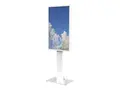 HI-ND Floorstand Glass with Casing 55&quot; Stativ - for digitalsignerings-LCD-panel - metall, glass - hvit, RAL 9003 - skjermst&#248;rrelse: 55&quot; - monteringsgrensesnitt: 200 x 200 mm - plassering p&#229; gulv - for Samsung QB55, QH55, QM55