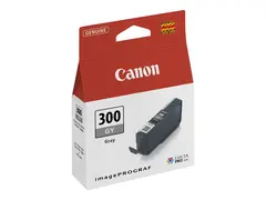 Canon PFI-300 GY - Gr&#229; - original blekkbeholder - for imagePROGRAF PRO-300