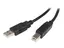 StarTech.com 2m USB 2.0 A to B Cable M/M USB-kabel - USB (hann) til USB-type B (hann) - USB 2.0 - 2 m - svart