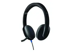 Logitech USB Headset H540 - Hodesett on-ear - kablet