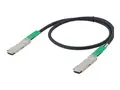 Allied Telesis AT-QSFP3CU - Nettverkskabel QSFP+ til QSFP+ - 3 m - fiberoptisk - for Allied Telesis AT-SBX81GC40; CentreCOM AT-x550-18; SwitchBlade AT SBX81, SBX81GC40