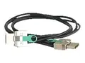 Allied Telesis Rear Chassis Stacking Cable Stackingkabel - 1 m - for SwitchBlade AT SBx908