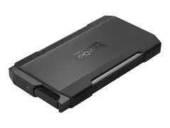 SanDisk Professional PRO-BLADE TRANSPORT SSD - 1 TB - ekstern (b&#230;rbar) - USB 3.2 Gen 2x2 (USB-C kontakt)