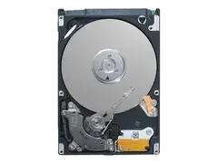 Dell - Customer Kit - harddisk kryptert - 2.4 TB - hot-swap - 2.5&quot; i 3,5 tommer leder - SAS 12Gb/s - 10000 rpm - FIPS 140-2 - Self-Encrypting Drive (SED) - for PowerEdge T330 (2.5&quot;), T430 (2.5&quot;), T630 (2.5&quot;)