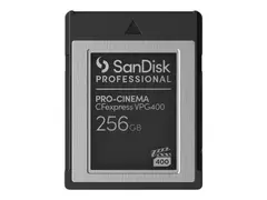 SanDisk - Flashminnekort - 256 GB - CFexpress Type B svart