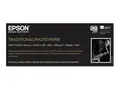 Epson Traditional Photo Paper - Rull (61 cm x 15 m) 300 g/m&#178; - fotopapir - for SureColor SC-P10000, P20000, P6000, P7000, P7500, P8000, P9000, P9500, T3200, T5200, T7200