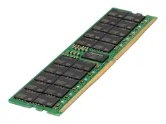 HPE SmartMemory - DDR5 - modul 16 GB - DIMM 288-pin - 4800 MHz / PC5-38400 - CL40 - 1.1 V - registrert - ECC - for ProLiant DL325 Gen11, DL345 Gen11, DL385 Gen11