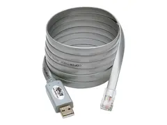 Eaton Tripp Lite Series USB to RJ45 Cisco Serial Rollover Cable, USB Type-A to RJ45 M/M, 6 ft Seriell adapter - USB - gr&#229;