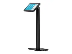 HP Engage Pole Display - Kundeskjerm 6.6&quot; - for Engage One Essential