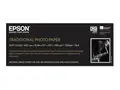 Epson Traditional Photo Paper - Rull (43,2 cm x 15 m) 300 g/m&#178; - fotopapir - for SureColor P5000, P800, SC-P10000, P20000, P5000, P7500, P900, P9500