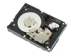 Dell - Harddisk - 4 TB - 3.5&quot; - SATA 7200 rpm - for PowerEdge T150