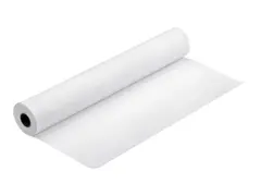 Epson - Blank - Rull (43,2 cm x 30,5 m) 250 g/m&#178; - 1 rull(er) fotopapir - for SureColor P5000, P800, SC-P10000, P20000, P5000, P7500, P900, P9500