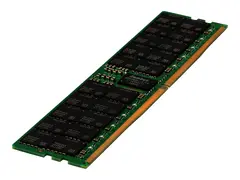 HPE SmartMemory - DDR5 - modul 64 GB - DIMM 288-pin - 4800 MHz / PC5-38400 - CL40 - registrert - for ProLiant DL325 Gen11, DL345 Gen11, DL385 Gen11