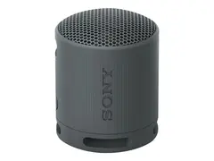 Sony SRS-XB100 - H&#248;yttaler - for b&#230;rbar bruk tr&#229;dl&#248;s - Bluetooth - Appstyrt - svart