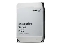 Synology HAS5310 - Harddisk - Enterprise 20 TB - intern - 3.5&quot; - SAS 12Gb/s - 7200 rpm - buffer: 512 MB