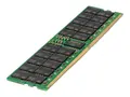 HPE SmartMemory - DDR5 - modul - 128 GB - DIMM 288-pin 4800 MHz / PC5-38400 - CL46 - 1.1 V - 3DS-registrert - ECC - for ProLiant DL325 Gen11, DL345 Gen11, DL385 Gen11