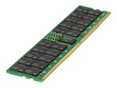 HPE SmartMemory - DDR5 - modul - 128 GB - DIMM 288-pin 4800 MHz / PC5-38400 - CL46 - 1.1 V - 3DS-registrert - ECC - for ProLiant DL325 Gen11, DL345 Gen11, DL385 Gen11