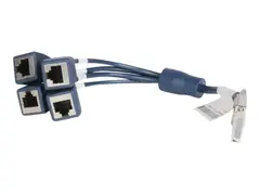 HPE X260 - Ruterkabel - RJ-45 (hunn) til DB-28 (hann) 30 cm