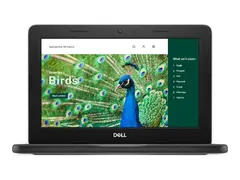 Dell Chromebook 3120 (2024) - 11.6&quot; Intel N-series - N100 - 4 GB RAM - 64 GB eMMC