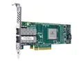 HPE StoreFabric SN1100Q 16Gb Dual Port Vertbussadapter - PCIe 3.0 lav profil - 16Gb Fibre Channel x 2 - for ProLiant DL325 Gen10, DL345 Gen10, DL365 Gen10, DX360 Gen10, XL220n Gen10, XL290n Gen10