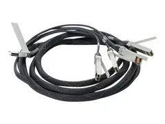 HPE Direct Attach Cable - Nettverkskabel SFP+ til QSFP+ - 3 m - for CX 8360-12C V2, 8360-16Y2C V2