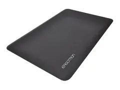 Ergotron WorkFit - Gulvmatte - 91 x 61 cm svart