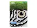 Epson Fine Art - Bomull - glatt - 490 mikroner naturlig - A3 Plus (329 x 483 mm) - 300 g/m&#178; - 25 ark klutepapir - for SureColor SC-P20000, P600, P6000, P700, P7000, P800, P8000, P900, P9000