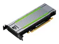 NVIDIA Tesla T4 - GPU-beregningsprosessor Tesla T4 - 16 GB GDDR6 - PCIe 3.0 x16 lav profil - for Edgeline e920; ProLiant DL325 Gen10, DL360 Gen10, DX360 Gen10