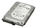 HP - Harddisk - 1 TB - intern - 3.5&quot; SATA 6Gb/s - 7200 rpm - buffer: 32 MB - for Workstation Z1 G5, Z2 G4, Z2 G5, Z2 G8, Z2 G9, Z230, Z4 G4, Z420, Z6 G4, Z620, Z640, Z8 G4